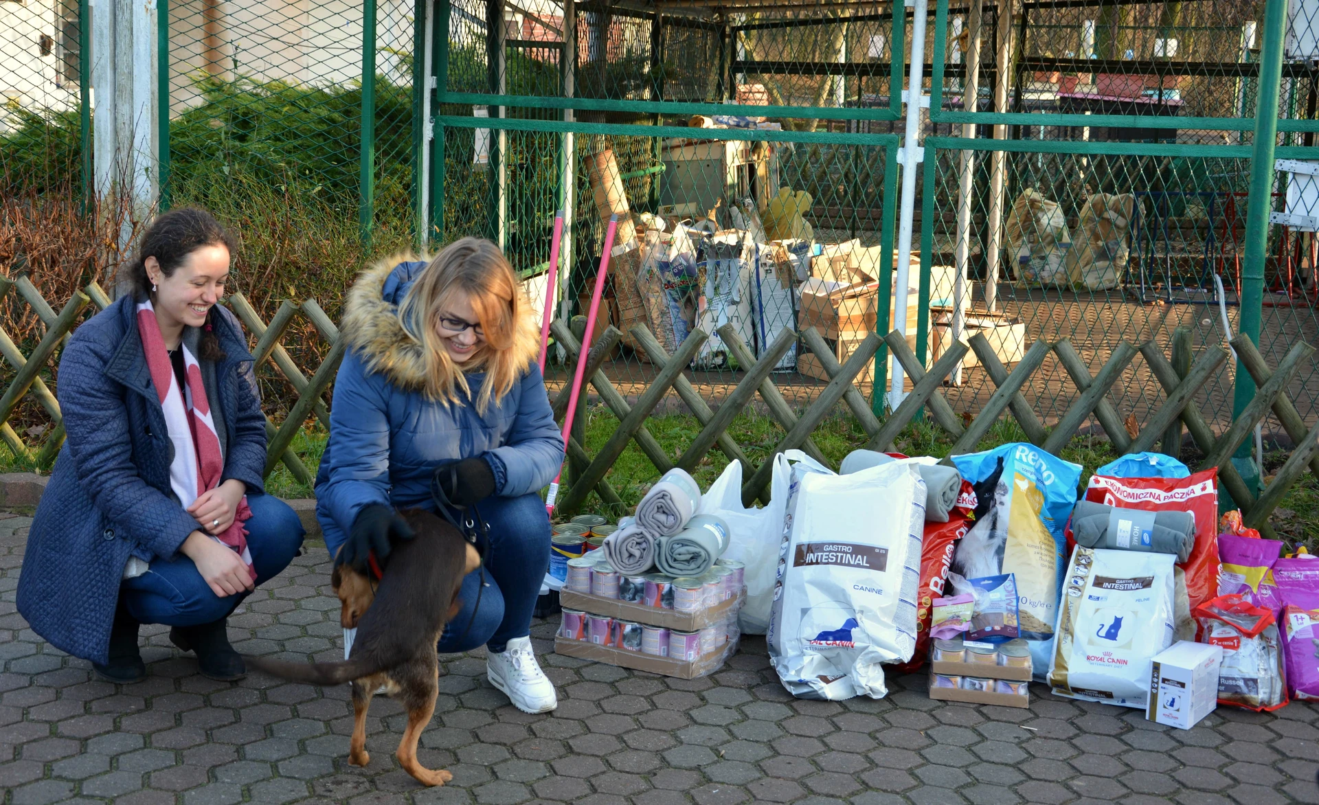 Na uczniów „czwórki” zawsze można liczyć, wspaniały dar dla bezdomnych zwierząt