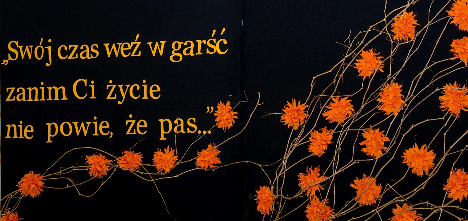 Galeria zdjęć we wpisie
