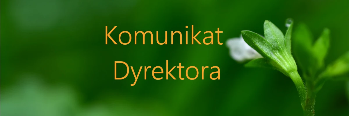 Zdjęcie wyróżniające