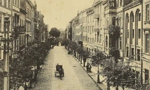 Królestwo ulicy Mostowej