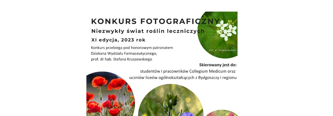 Zdjęcie wyróżniające