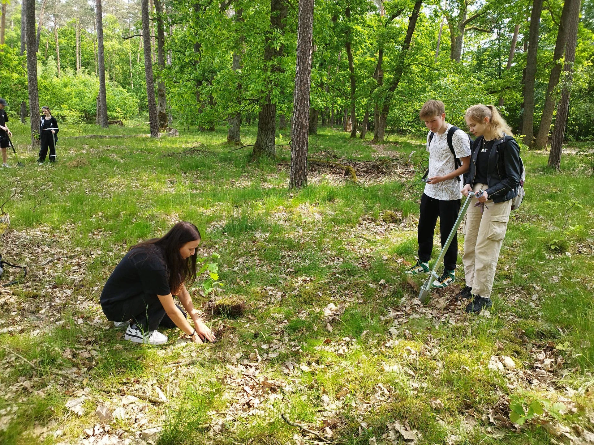 Galeria zdjęć we wpisie